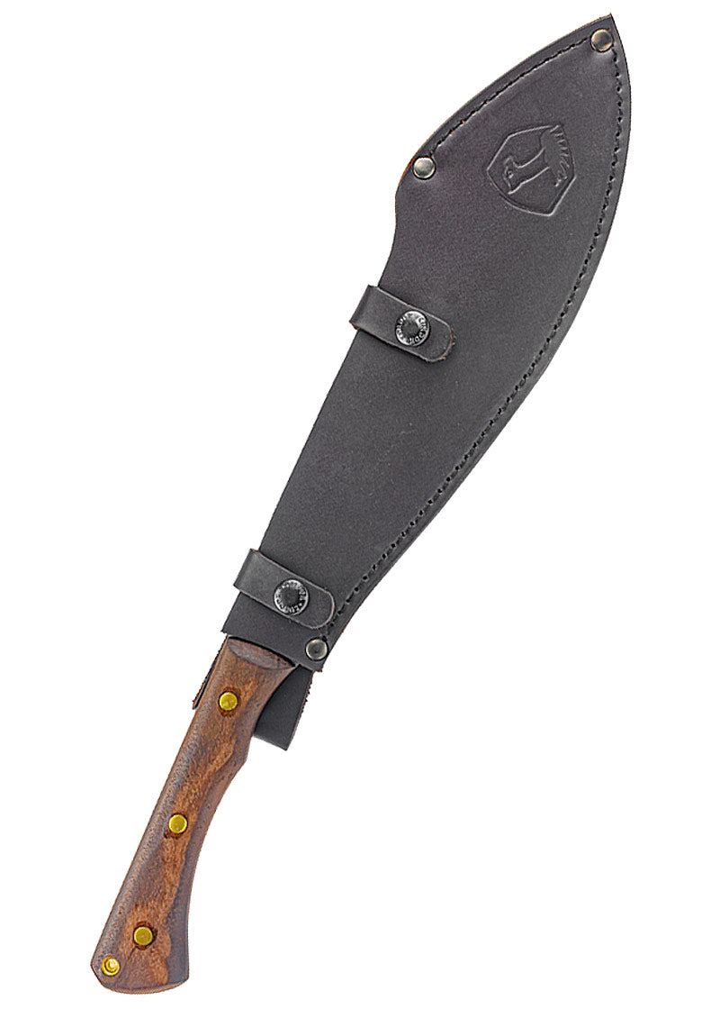 Imagen única de: Norte Polar Machete, Cóndor