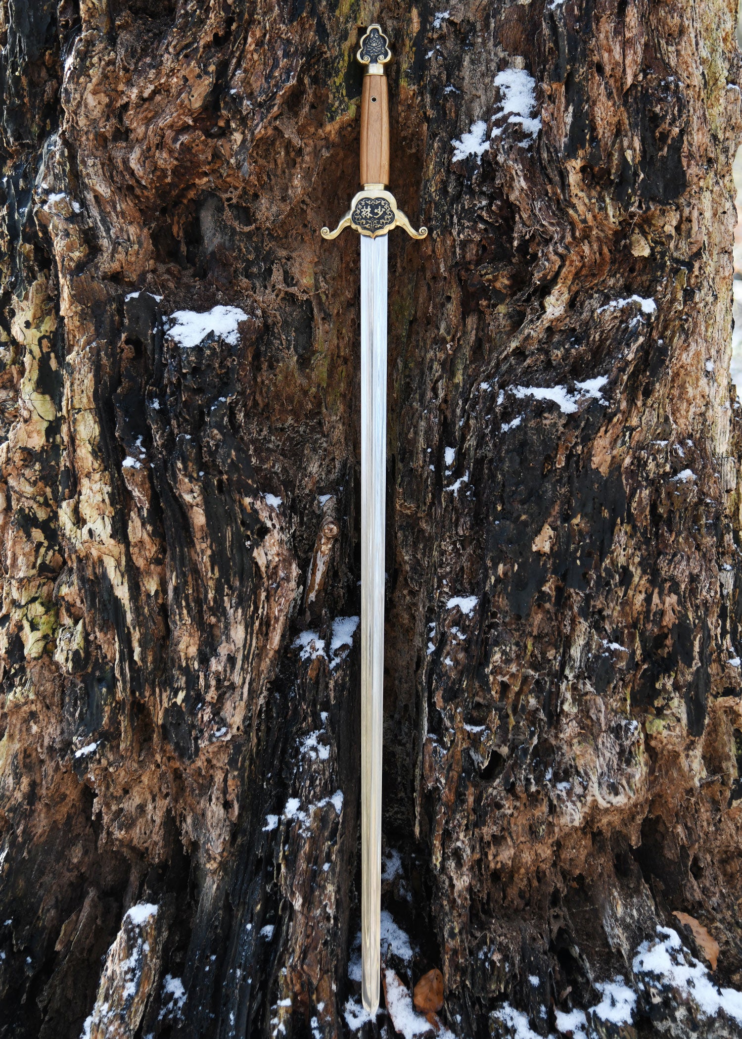 Imagen única de: Shaolin Jian      