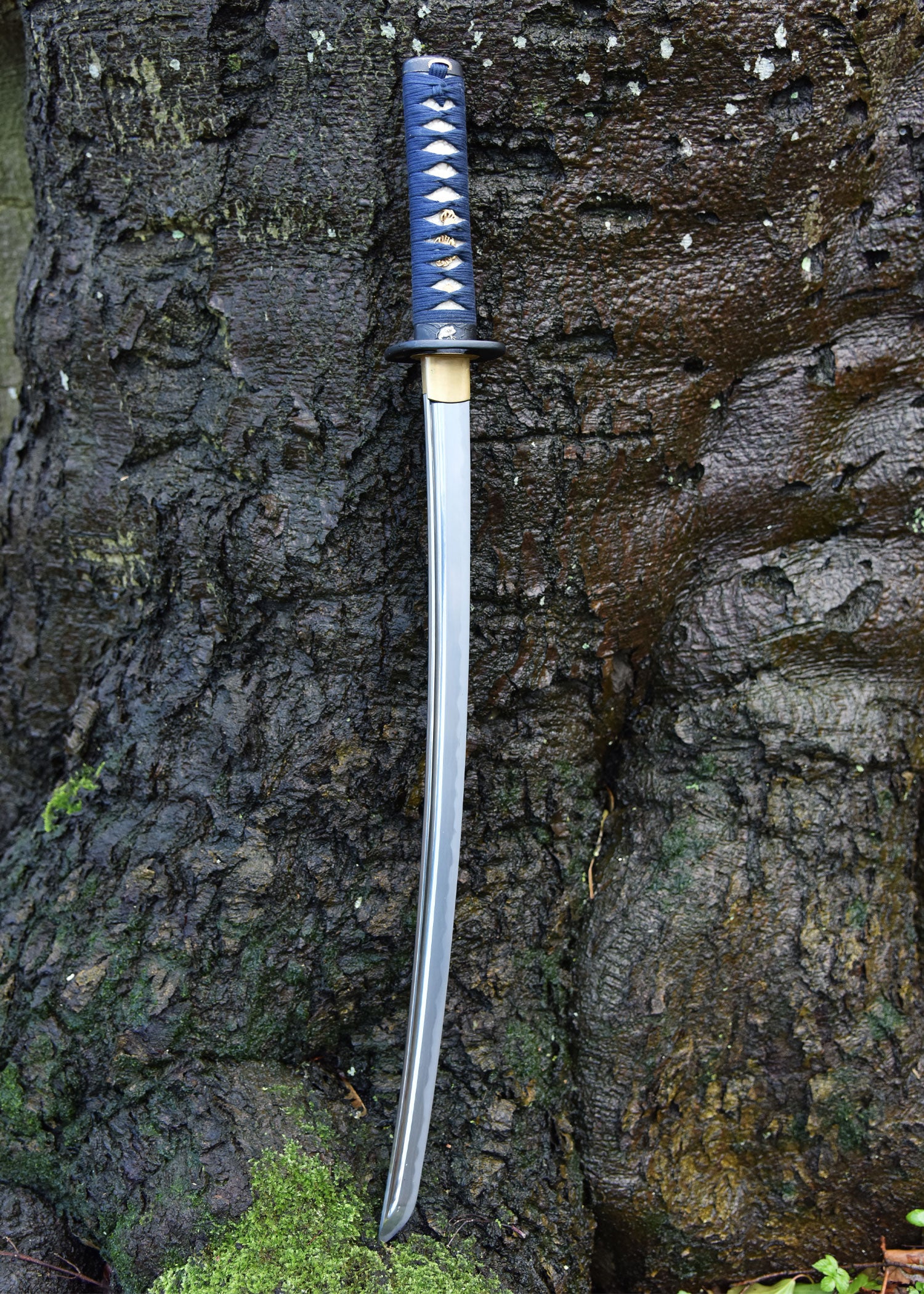Imagen única de: Kaeru (Rana) Wakizashi