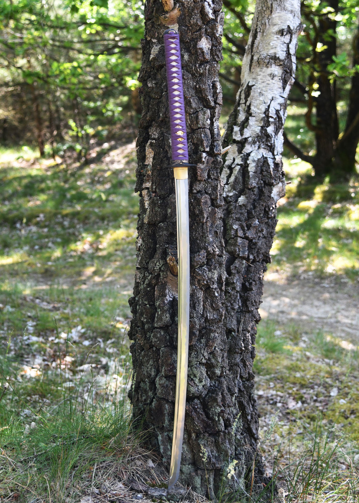Imagen única de: Katana Tonbo