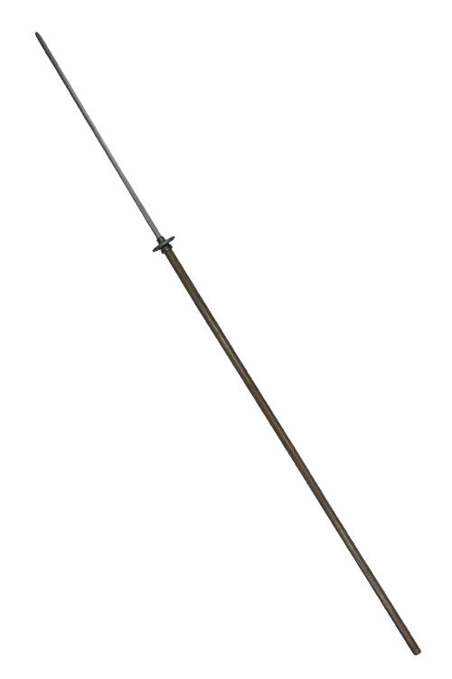 Imagen única de: Naginata