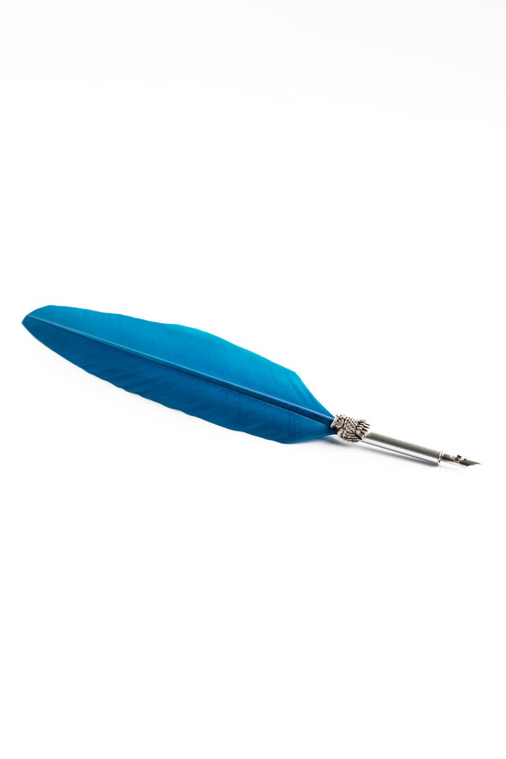 Imagen única de: Pluma Pluma Búho