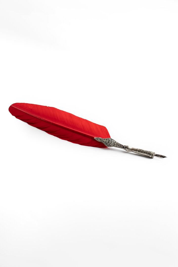 Imagen única de: Pluma Pluma Elegante