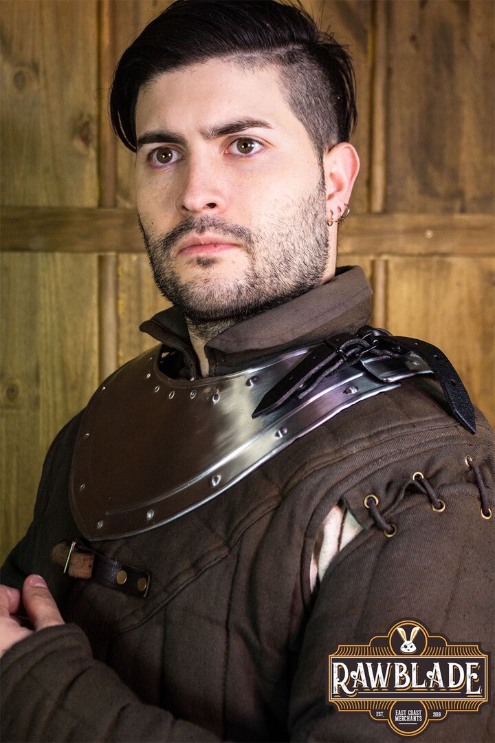 Imagen única de: Gorjal De Lancel