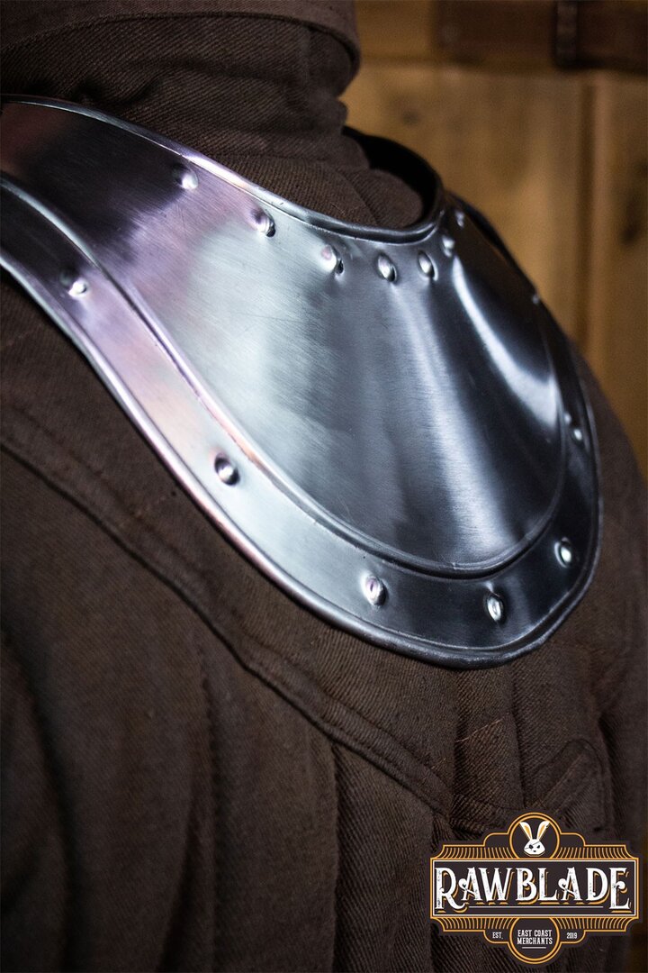 Imagen única de: Gorjal De Lancel