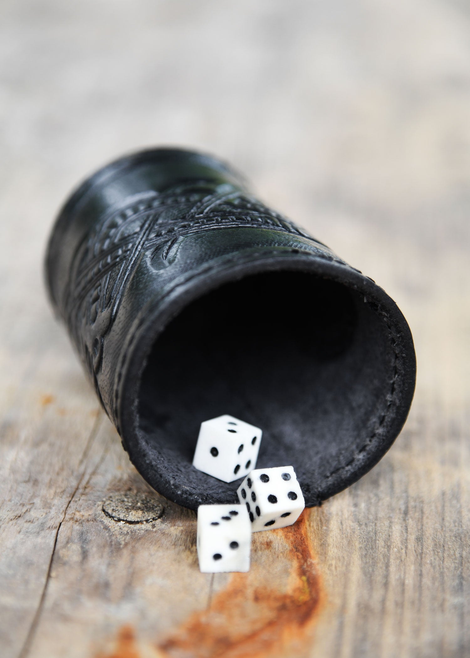 Imagen única de: Cubitera De Cuero Con Motivo De Dragón En Relieve, Estilo Gelatina, Negro